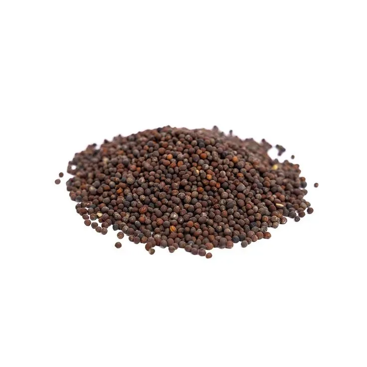 Nutrient-rich Broccoli Seeds